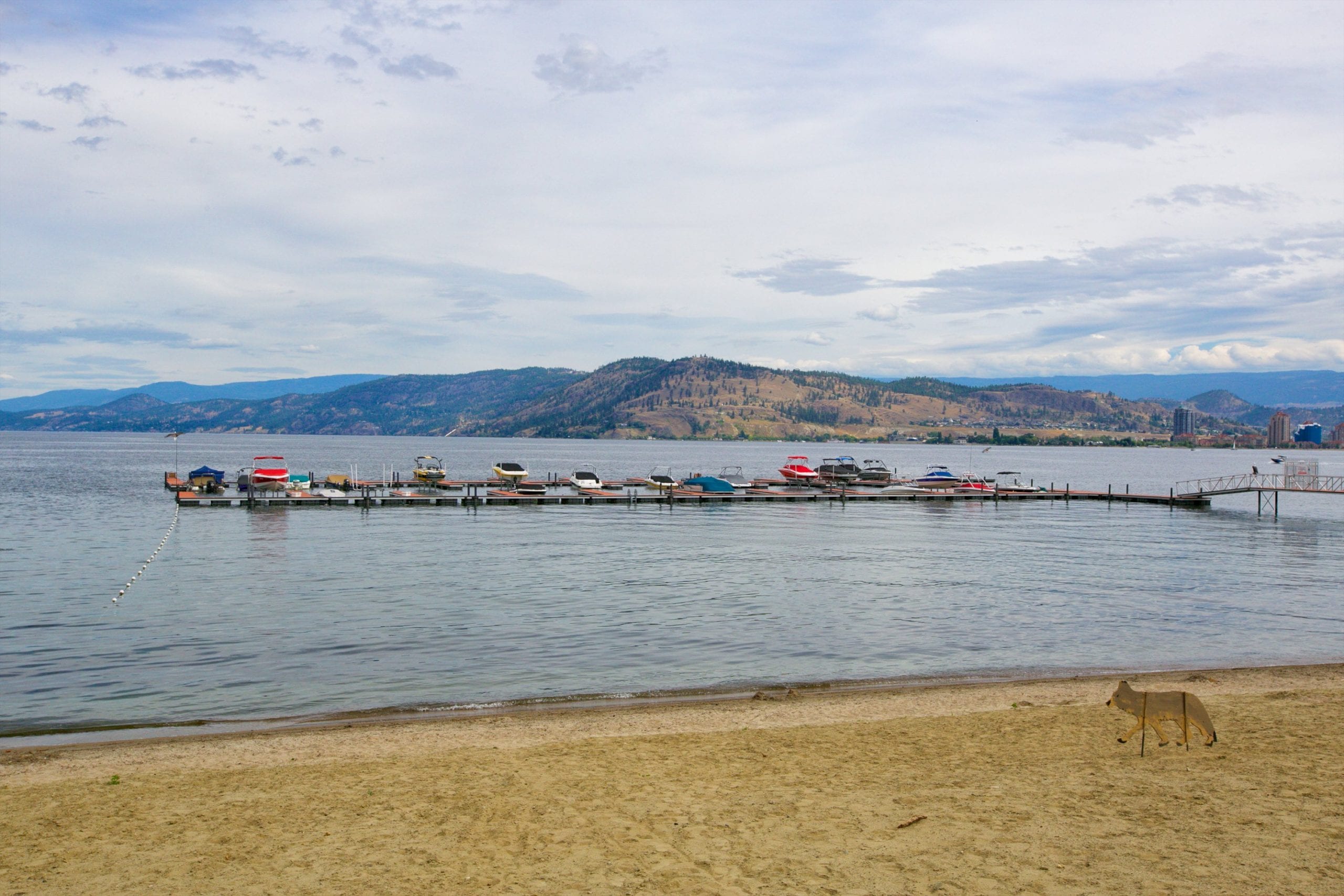 beach shot of west harbour marina with boats docked on the okanagan lake in full view of the mountains