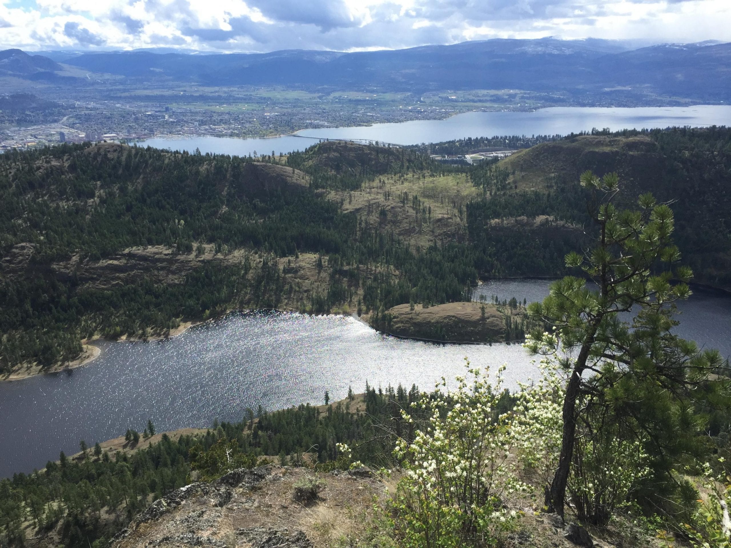 Where To Hike In West Kelowna West Harbour Kelowna